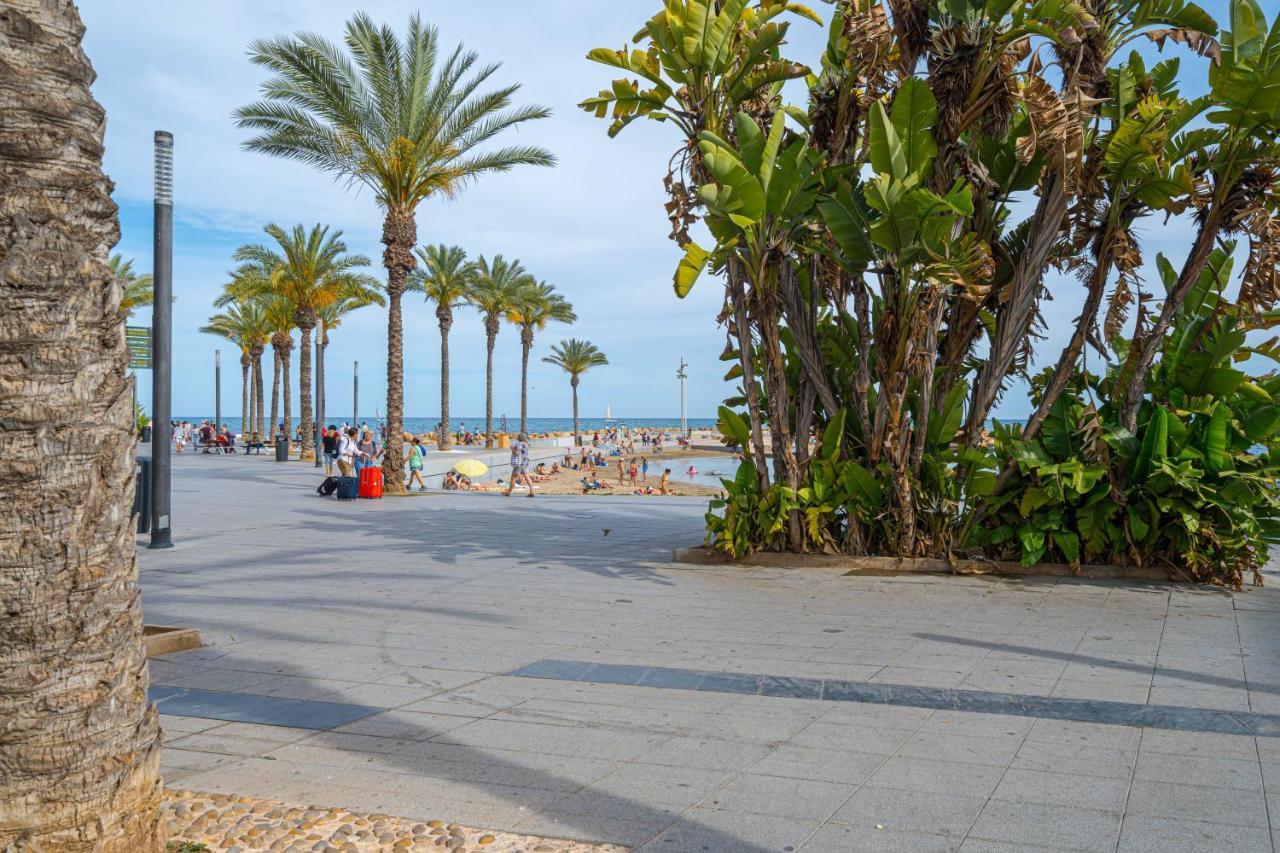 Casa Terra: Apartment 50 Meters From The Beach 또레비에하 외부 사진